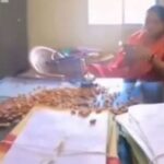 बिलासपुर में हाउसिंग बोर्ड की लापरवाही पर युवक ने उठाया अनोखा विरोध, बादाम फेंककर दी चेतावनी!