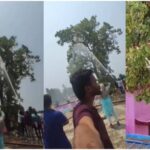 नारायणपुर में अजब-गजब कारनामा: पालतू तोते को पकड़ने के लिए बुलाई गई फायर ब्रिगेड, हजारों लीटर पानी का दुरुपयोग