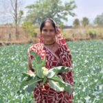 साय सरकार की पहल से सशक्त हुई महिलाएं: हमेश्वरी राठौर बनीं ‘लखपति दीदी’, आत्मनिर्भरता की मिसाल