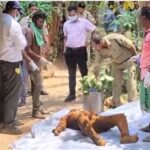 दोस्त की हत्या के बाद आत्मा के डर से उगल दी सच्चाई, थाने जाकर कबूला जुर्म