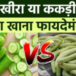 ककड़ी vs खीरा: गर्मियों में सेहत के लिए कौन है ज्यादा फायदेमंद?