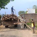 गौरेला में सागौन की अवैध कटाई पर वन विभाग की बड़ी कार्रवाई, 500 से अधिक बल्लियां जब्त