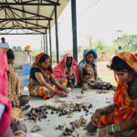 मानसून के साथ हरियाली मिशन शुरू: बलौदाबाजार में 2 लाख सीड बॉल से फिर हरे होंगे जंगल