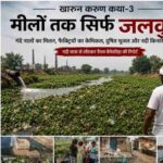 खारुन की दर्दनाक कहानी: कहीं जलकुंभी का जंगल, कहीं जहरीला पानी, नदी किनारे बसे गांव प्यास से बेहाल