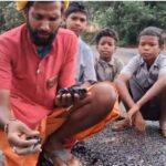हाथ से उखड़ने लगी नई सड़क! जनमन योजना के निर्माण कार्य पर ग्रामीणों ने उठाए सवाल, गुणवत्ता को लेकर बढ़ा विवाद