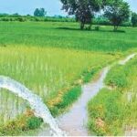 छत्तीसगढ़ में सिंचाई को बड़ी सौगात: 36 कार्यों के लिए 5 करोड़ मंजूर, इन जिलों में होंगे जल संसाधन के काम