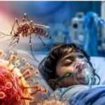 गुजरात में चांदीपुरा वायरस का कहर! 22 बच्चों की मौत, सरकार ने सभी अस्पतालों को ICU और वेंटिलेटर तैयार रखने के दिए आदेश