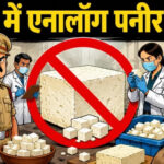 MP में नकली पनीर पर बड़ा एक्शन! 8,135 किलो सामान जब्त, दुकानदारों को अब देनी होगी ‘असली दूध’ की गारंटी