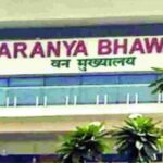 IFS अधिकारी ओपी यादव बने PCCF, छत्तीसगढ़ सरकार का बड़ा फैसला, वन विभाग में मिली सबसे बड़ी जिम्मेदारी