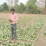 तेन्दूपत्ता संग्रहण की नई पहल से अबुझमाड़ के 22 गांवों को मिला लाभ