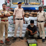 चिल्फी बॉर्डर पर 2.23 करोड़ का गांजा जब्त! कंटेनर के गुप्त चेंबर में छिपा था 447 किलो नशे का माल