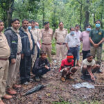 मृत भालू के नाखून काटकर ले गए आरोपी, डॉग स्क्वॉड ने खोला राज; 2 गिरफ्तार