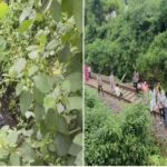 नाले में मिला युवक का शव, इलाके में मची सनसनी; हत्या या आत्महत्या की गुत्थी सुलझाने में जुटी पुलिस